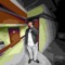 Palm Angelz (feat. OfficialTayb & babytwan) - RRichjunkiie lyrics