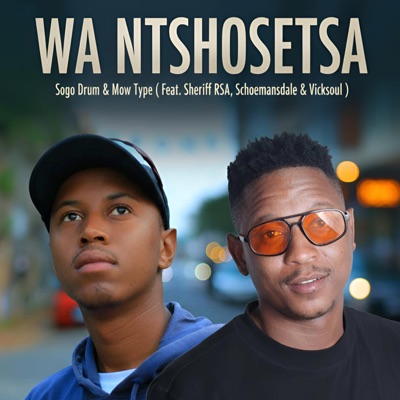 wa ntshosetsa (feat. Mow Type, Sheriff RSA, Vicksoul & Schoemansdal) - Single