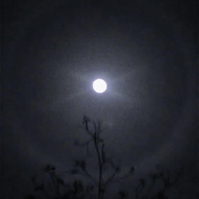 I Can't Let You Know (feat. P3RKKY & PUNX) - Single