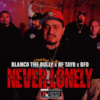 Never lonely (feat. BFD & Rf tayo) - Single