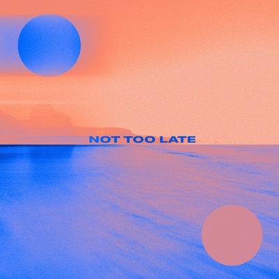 Not Too Late - Single