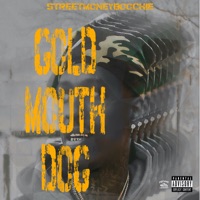 Gold Mouth Dog - Street Money Boochie