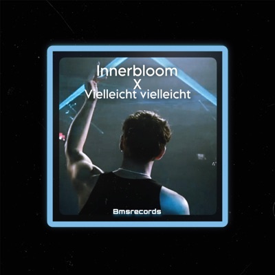 Bmsrecords - Innerbloomm x vielleicht hard techno (Remix Bmsrecords)