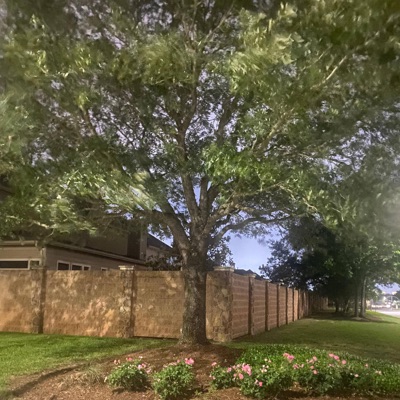 ERM, IN MY DEFENSE! - Single