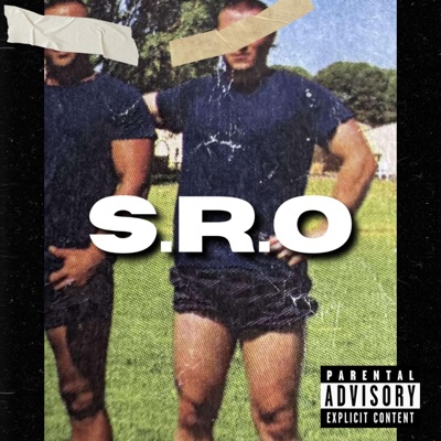 SERIOUS REPEAT OFFENDER - Single