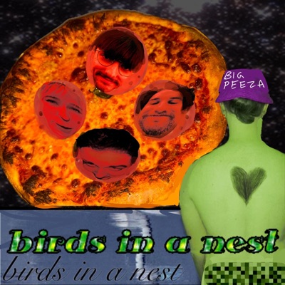 Birds In a Nest - Single