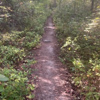 Infectious - Single - DAN$kI