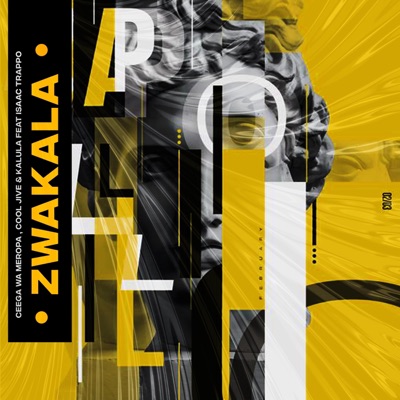 Zwakala - Single