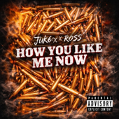 How You Like Me Now (feat. Ross) song art