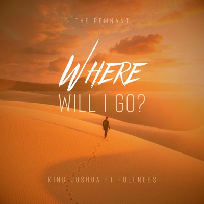 Where will I go!? (feat. Fullness) - Single