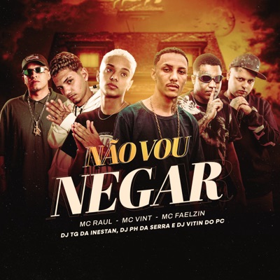 Não Vou Negar (feat. MC Raul & Mc Faelzin) - Single