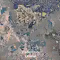 Liminal
