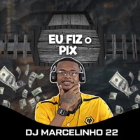 Eu Fiz o Pix - Single - Dj Marcelinho 22