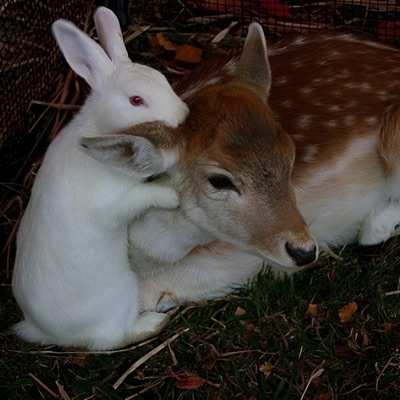 life's too short - Single