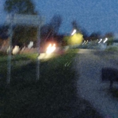 Not your imagination (feat. Textbook) - Single