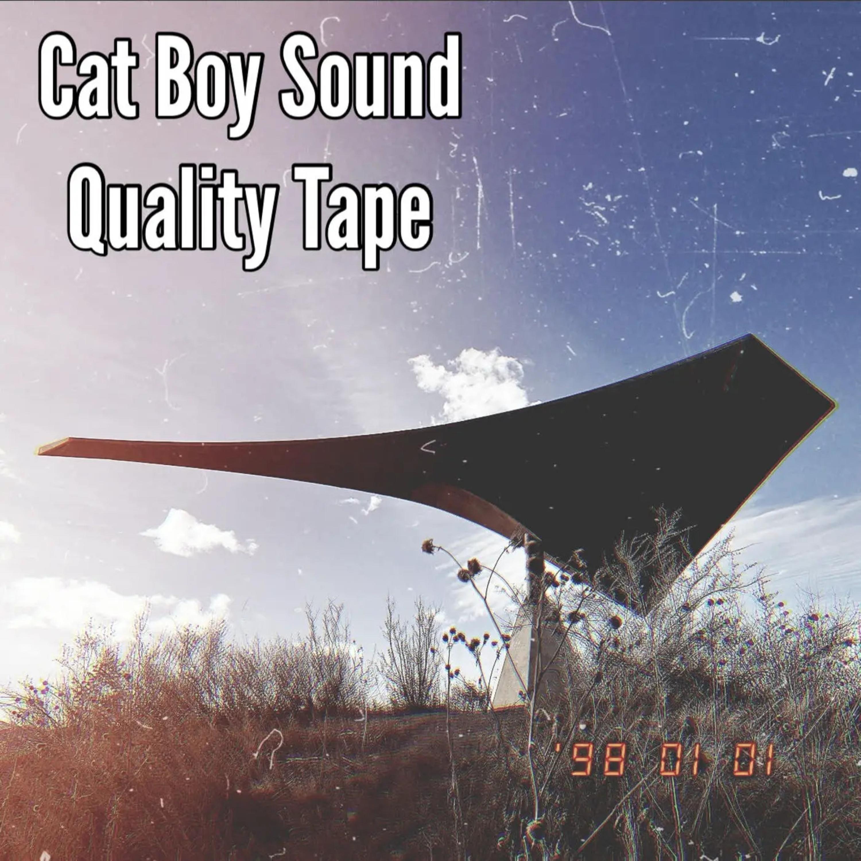 Cat Boy Sound - City Slicker (feat. Zach Rich)
