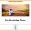 Contemplative Pause - EP