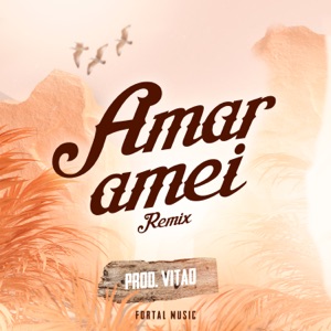 Amar Amei (feat. Mc Don Juan) [Remix]