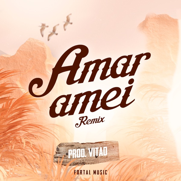 Amar Amei (feat. Mc Don Juan) [Remix]