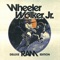 Money 'N' Bitches (ft. Danny Brown) [Remix] - Wheeler Walker Jr. & Danny Brown lyrics
