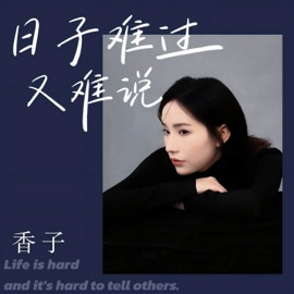 日子难过又难说 (Dj版伴奏) 香子