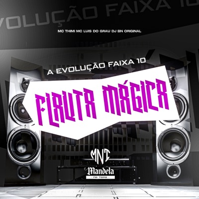 A Evolução Faixa 10 Flauta Magica (feat. MC THIMI) - Single