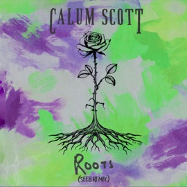 Roots (Seeb Remix) Calum Scott & Seeb