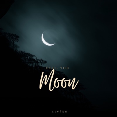 Feel The Moon - Single