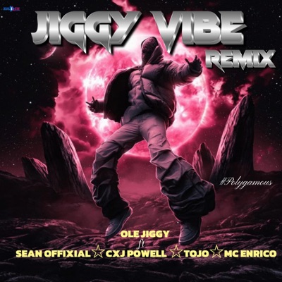 Jiggy vibe (feat. Sean offixial, Cxj Powell, Tojo & Encrico Mc) [Remix] - Single