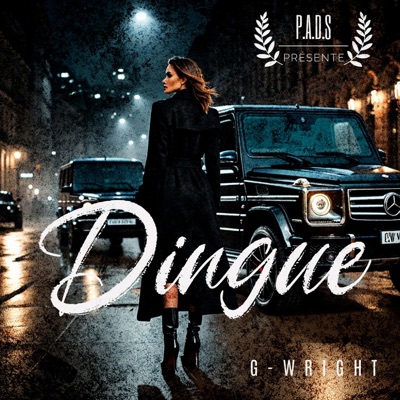 Dingue - Single