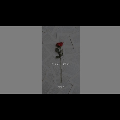 nu vrei dragoste, vrei ploi - Single