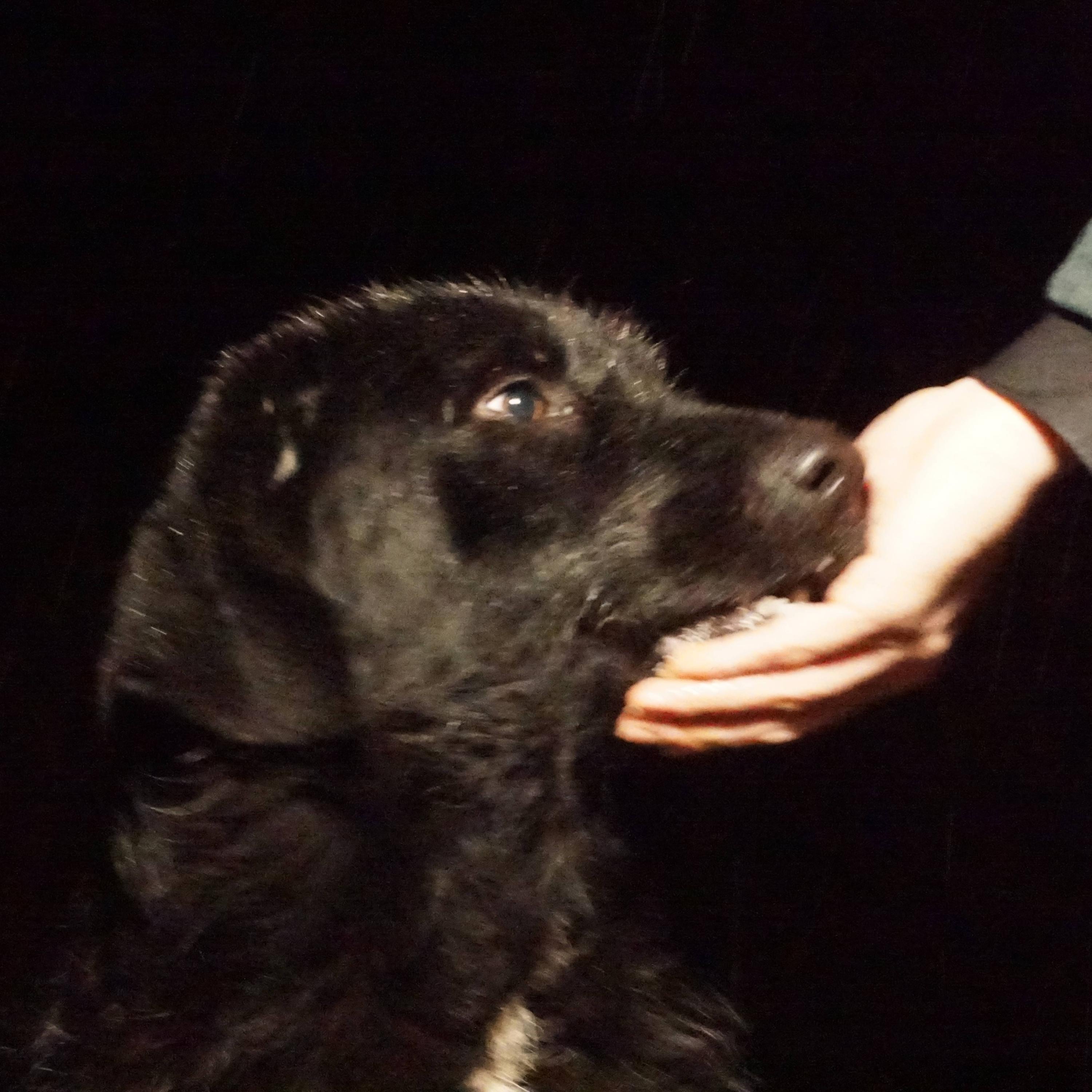 Grozna Osoba - Single