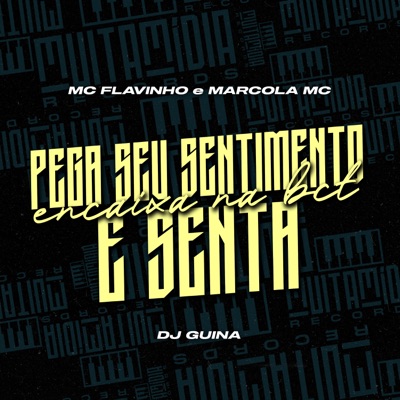 Pega Seu Sentimento, Encaixa e Senta - Single