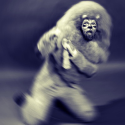 The Wiz of Kub - Single