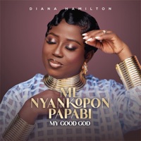 Me Nyankopon Papabi My Good God - Single - Diana Hamilton