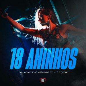 18 Aninhos (feat. Love Funk)