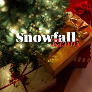 Snowfall (feat. Riwo & Letus) [Remix] - Single