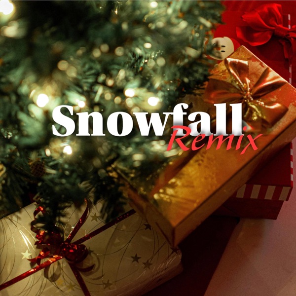 Snowfall (feat. Riwo & Letus) [Remix]