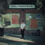 Dali Amadeus - Fake Trees (feat. Rey Resurreccion & Nash Boogie)