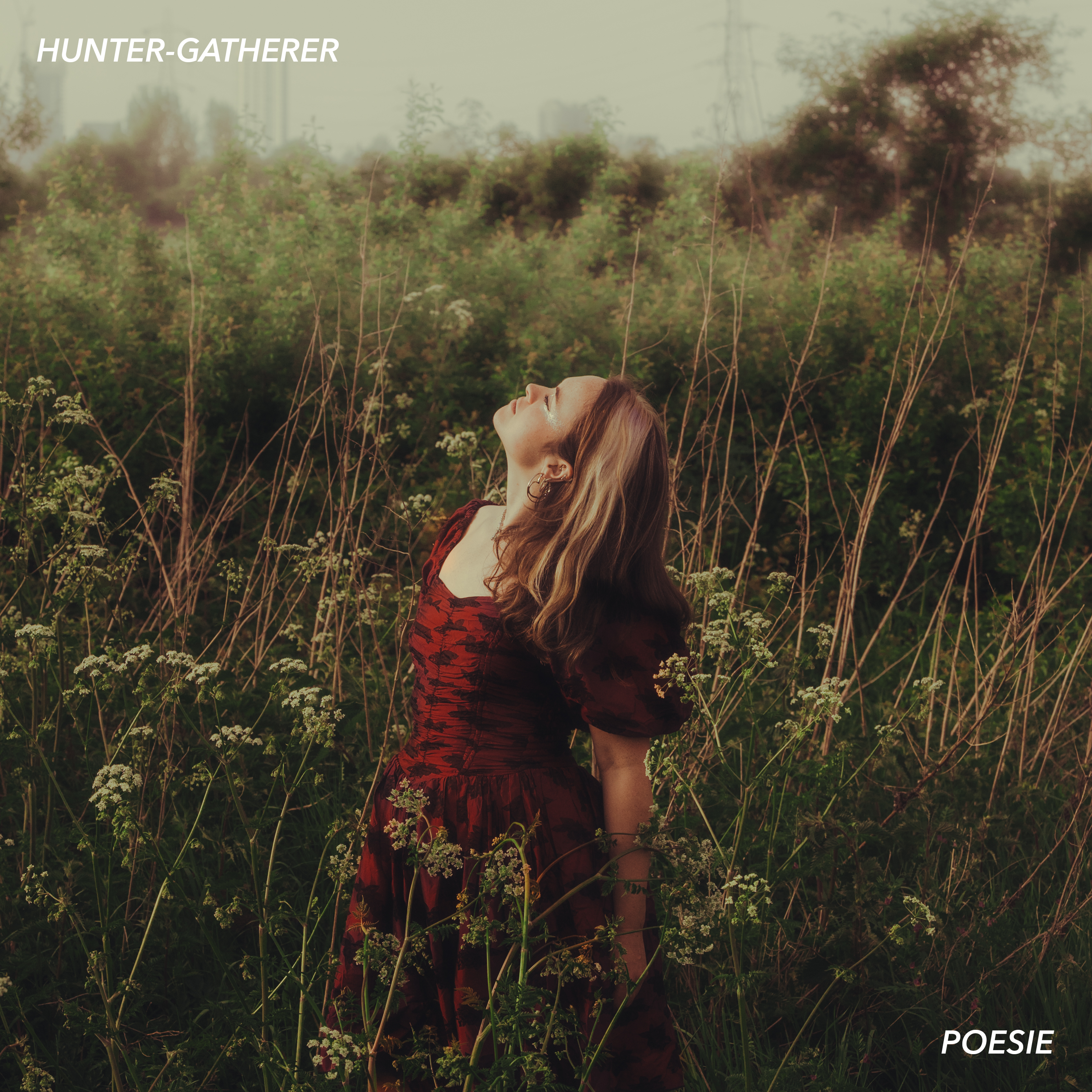 Hunter-Gatherer - Single