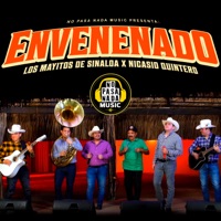 Envenenado - Single - Los Mayitos De Sinaloa & Nicasio Quintero