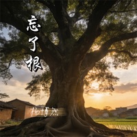 忘了根 - Single - 杨博然