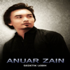 Anuar Zain - Sedetik Lebih artwork