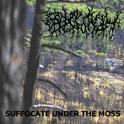 Suffocate Under The Moss - EP