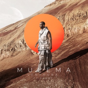 Mulema (feat. Fashi)