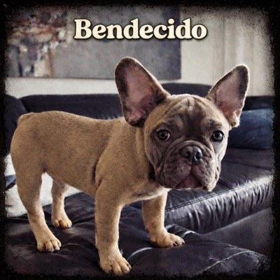 Bendecido - EP