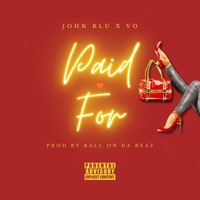 PAID FOR (feat. VO) - Single - John Blu