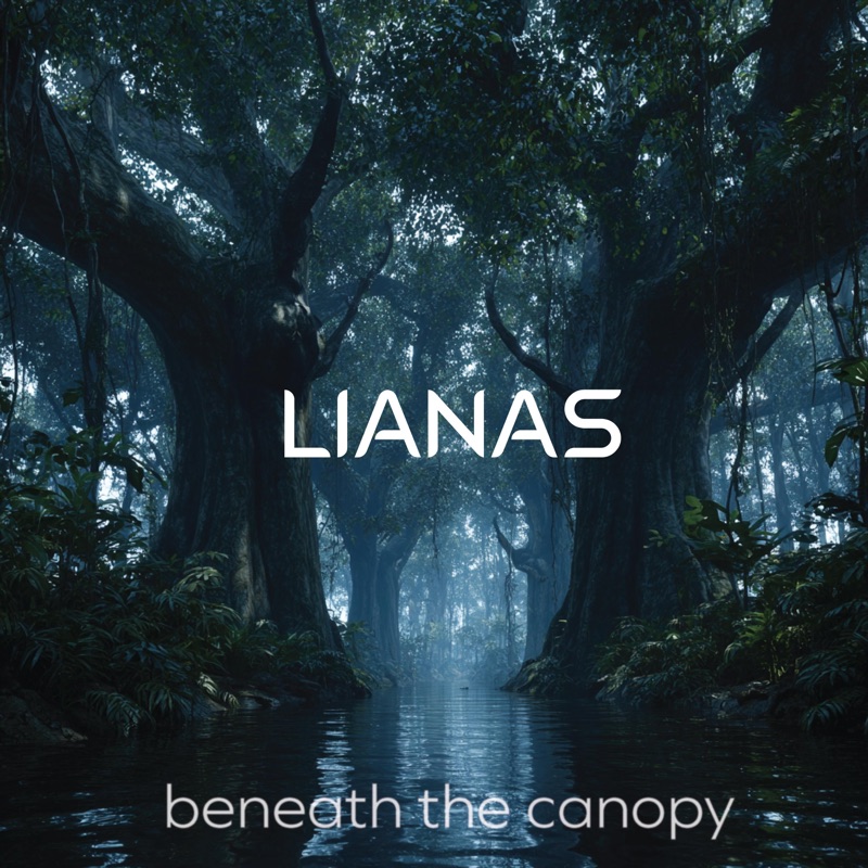 Beneath The Canopy