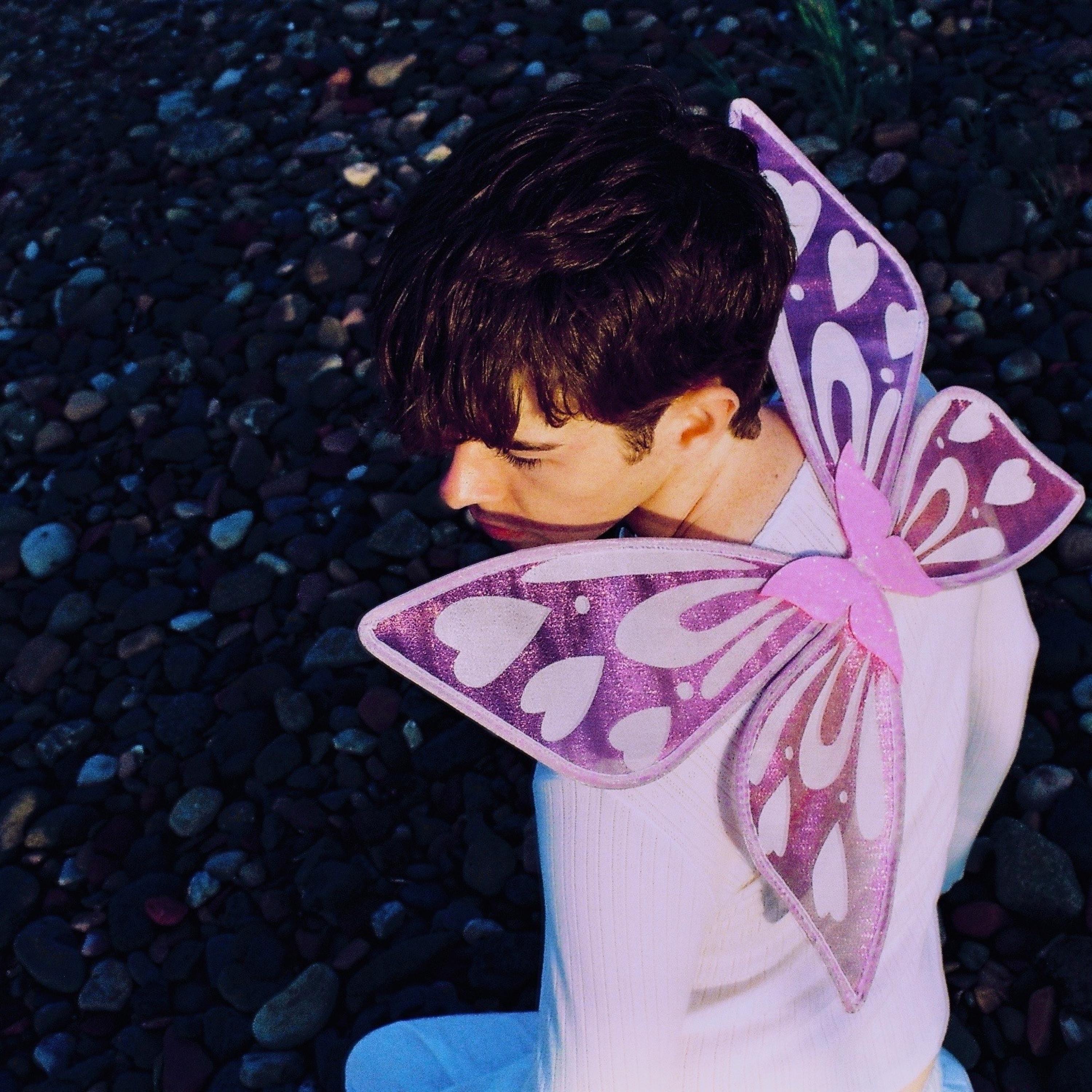 Butterflies - Single