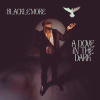 A Dove In The Dark - Black Le'more